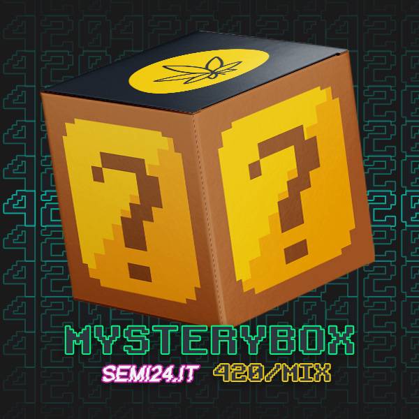 Mystery Box - Semi24 - Scatola misteriosa