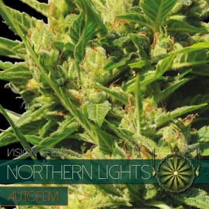 Vision Seeds - Northern Lights Auto