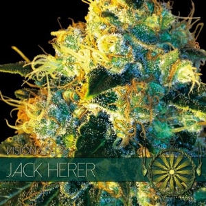 Vision Seeds - Jack Herer
