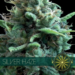 Vision Seeds - Silver Haze