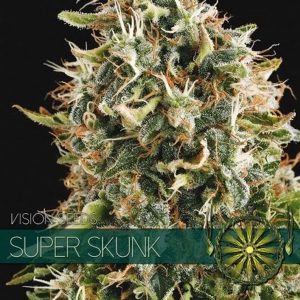 Vision Seeds - Super Skunk