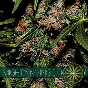 Vision Seeds - Mighty Mango Bud