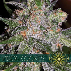 Vision Seeds - Vision Cookies