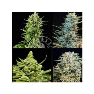 Grass o Matic - Mix Gom Auto