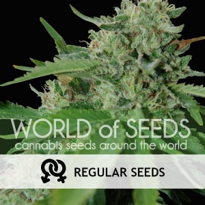 World of Seeds - Brazil Amazonia Regolare