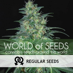 World of Seeds - South African Kwazulu