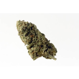 Amsterdam Genetics - Green Magic