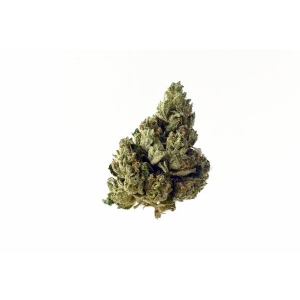 Amsterdam Genetics - Choco Kush Auto