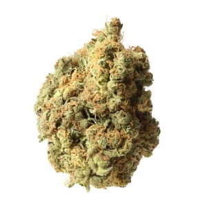 Amsterdam Genetics - AK 020