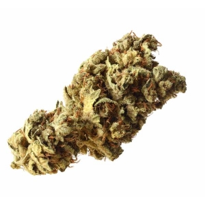 Amsterdam Genetics - Pineapple Kush