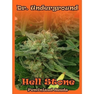 Dr Underground - Hell Stone