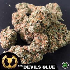 Devil s Harvest Seeds - Devil s Glue