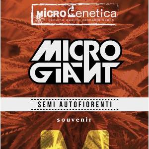 Microgenetica - Micro Giant Auto