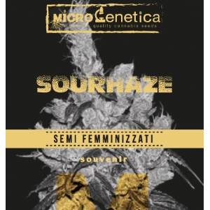 Microgenetica - Sour Haze
