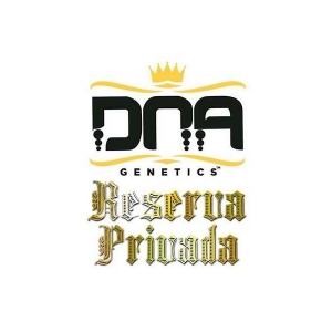 DNA Genetics Mix Pack di Semi Regolari