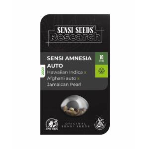 Sensi Seeds - Sensi Amnesia Auto