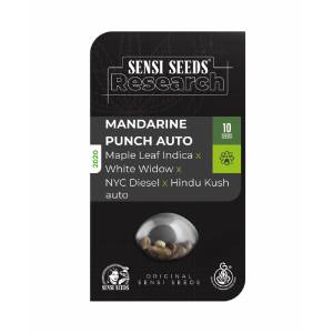 Sensi Seeds - Mandarine Punch Auto
