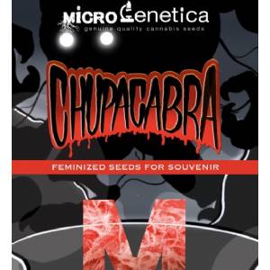 Microgenetica - Chupacabra