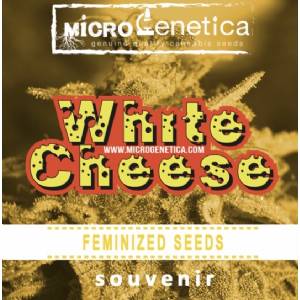 Microgenetica - White Cheese
