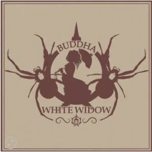 Buddha Seeds - White Widow