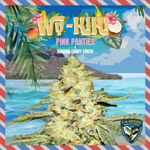 TH Seeds - Wy Kiki - fem