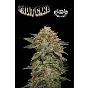 Seedstockers - Superior Fruit Cake