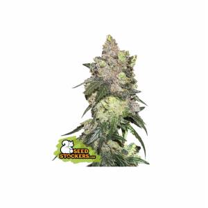 Seedstockers - Girl Scout Cookies
