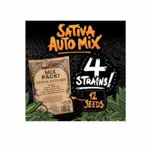 Seedstockers - Savita Mix Auto