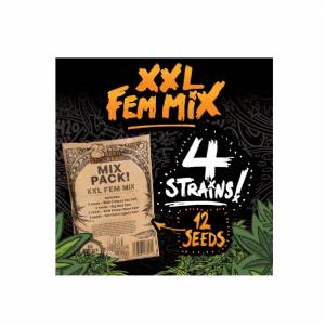 Seedstockers - XXL Mix