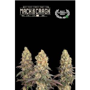 Seedstockers - Superior Mack and Crack