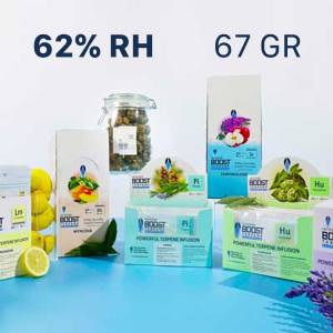 Integra Boost - Terpene Essentials - Bustine da 67gr 62%