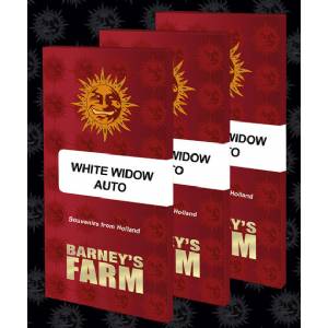 Barney s Farm - Auto White Widow XXL