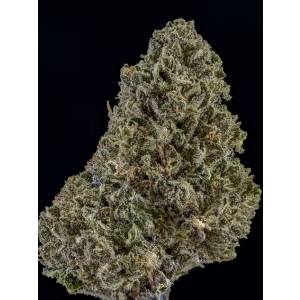 Humboldt Seed Company - Sol Mate Auto