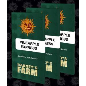Barney s Farm - Pineapple Express