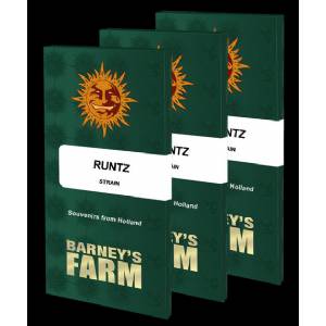 Barney s Farm - Runtz