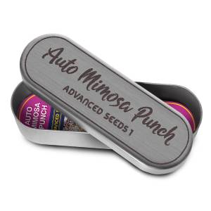 Advanced Seeds - Auto Mimosa Punch - 5+2 Auto