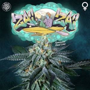 Perfect Tree - ZAI ZAI - 6 Fem