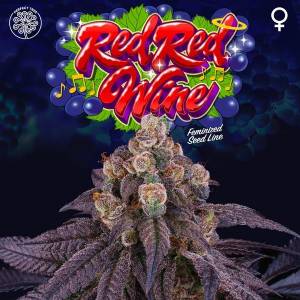Perfect Tree - Red Red Wine - 6 Fem
