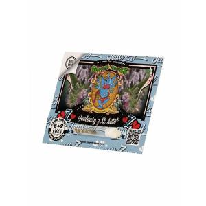 Sweet Seeds - Jealousy XL-  5+2 auto