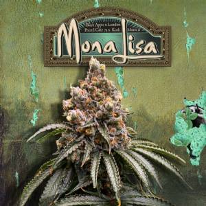 TH Seeds - Mona Lisa 710 Limited Pack - 2 Fem