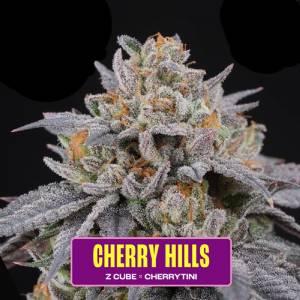 Perfect Tree - Cherry Hills - 6 Fem