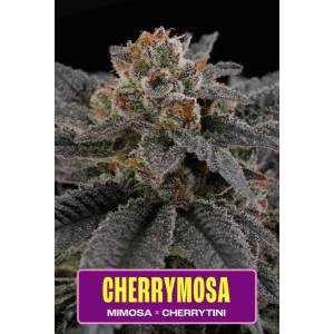 Perfect Tree - Cherrymosa - 6 Fem