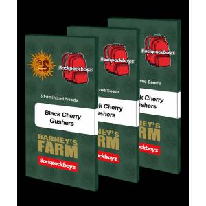 Barney s Farm - Black Cherry Gushers