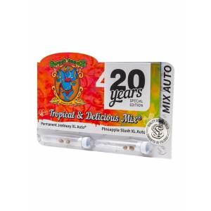 Sweet Seeds - Pack Mix speciale 20º anniversario Tropical & Delicious Mix - 2+2 auto