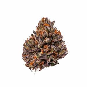 Growers Choice - Tropicana Cherry Triploid F1