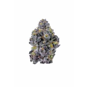 Growers Choice - Sticky Wasabi Triploid F1