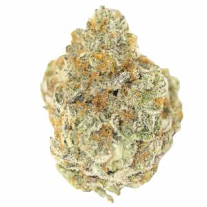 Growers Choice - Permanent WhiteMarker