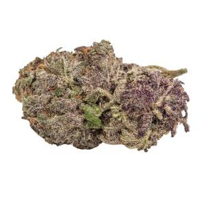 Growers Choice - Ultra Violet GMO