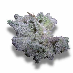 Growers Choice - Brain Damage