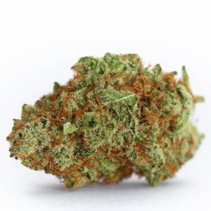 Growers Choice - Monsterbud